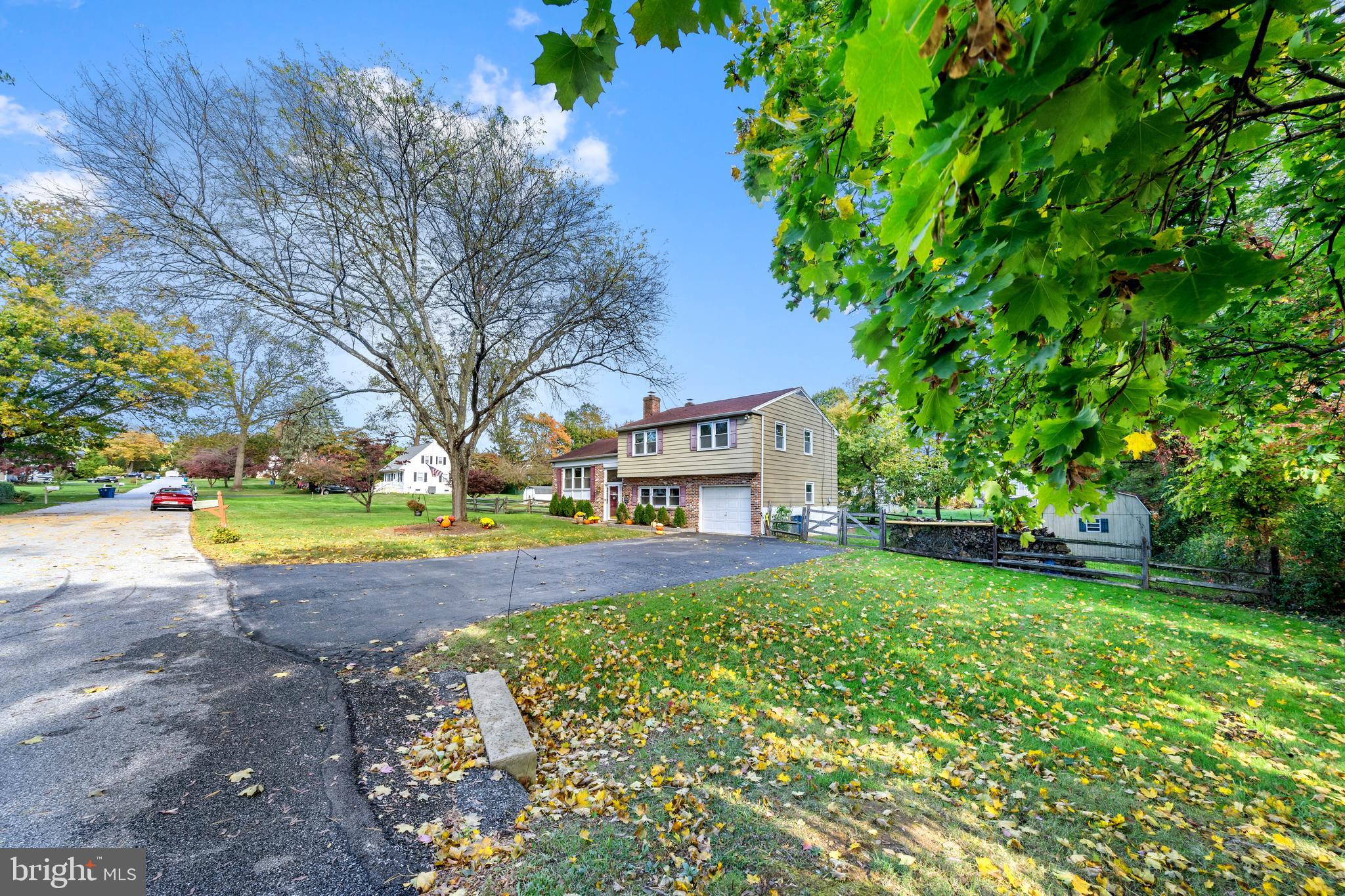 a view of a yard with plants and large trees