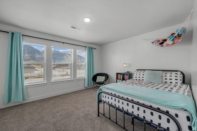 826 Walnut Bark Lane Mapleton, UT 84664 - Photo 22 of 40