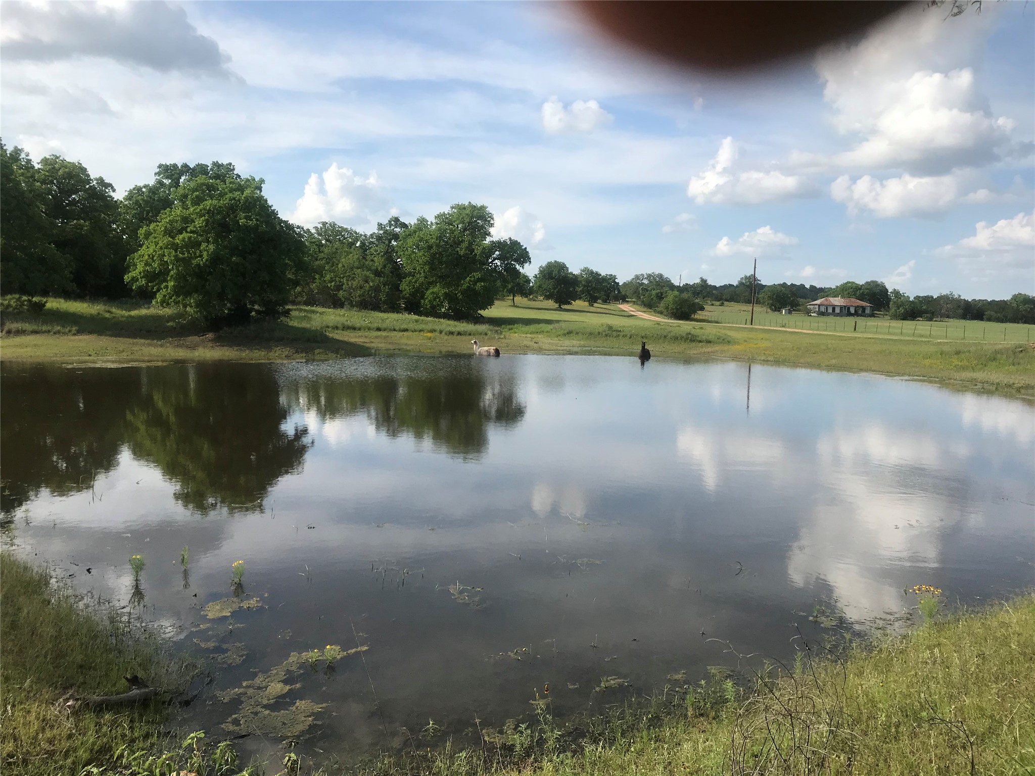 504 Sandy School Road Johnson City, TX 78636 - Photo 1 of 7 a view of a lake