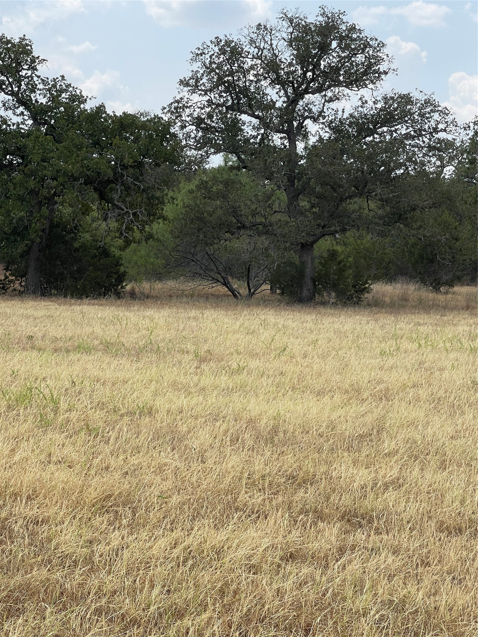 504 Sandy School Road Johnson City, TX 78636 - Photo 3 of 7 a view of empty room with wooden fence