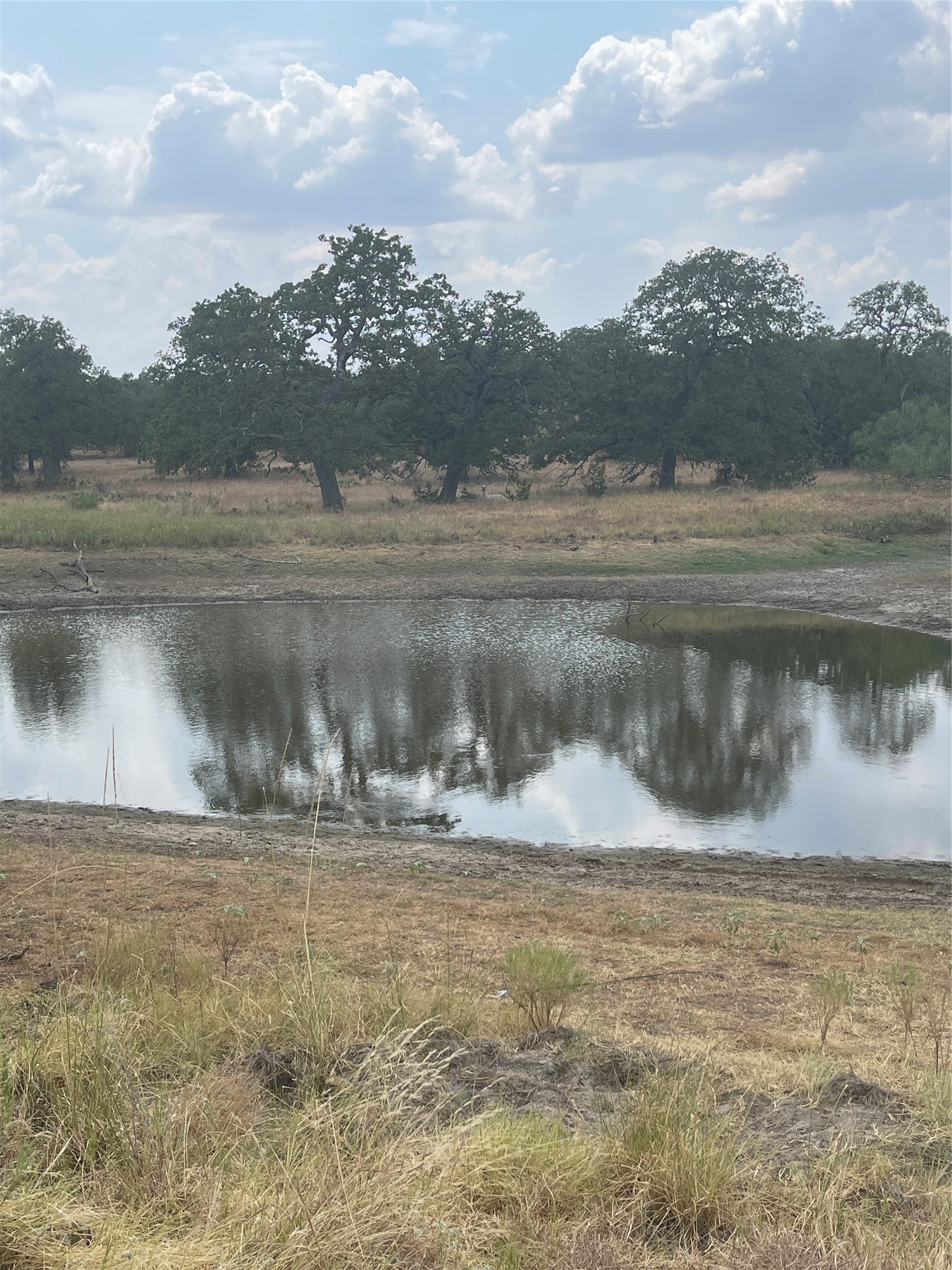 504 Sandy School Road Johnson City, TX 78636 - Photo 5 of 7 a view of a lake view