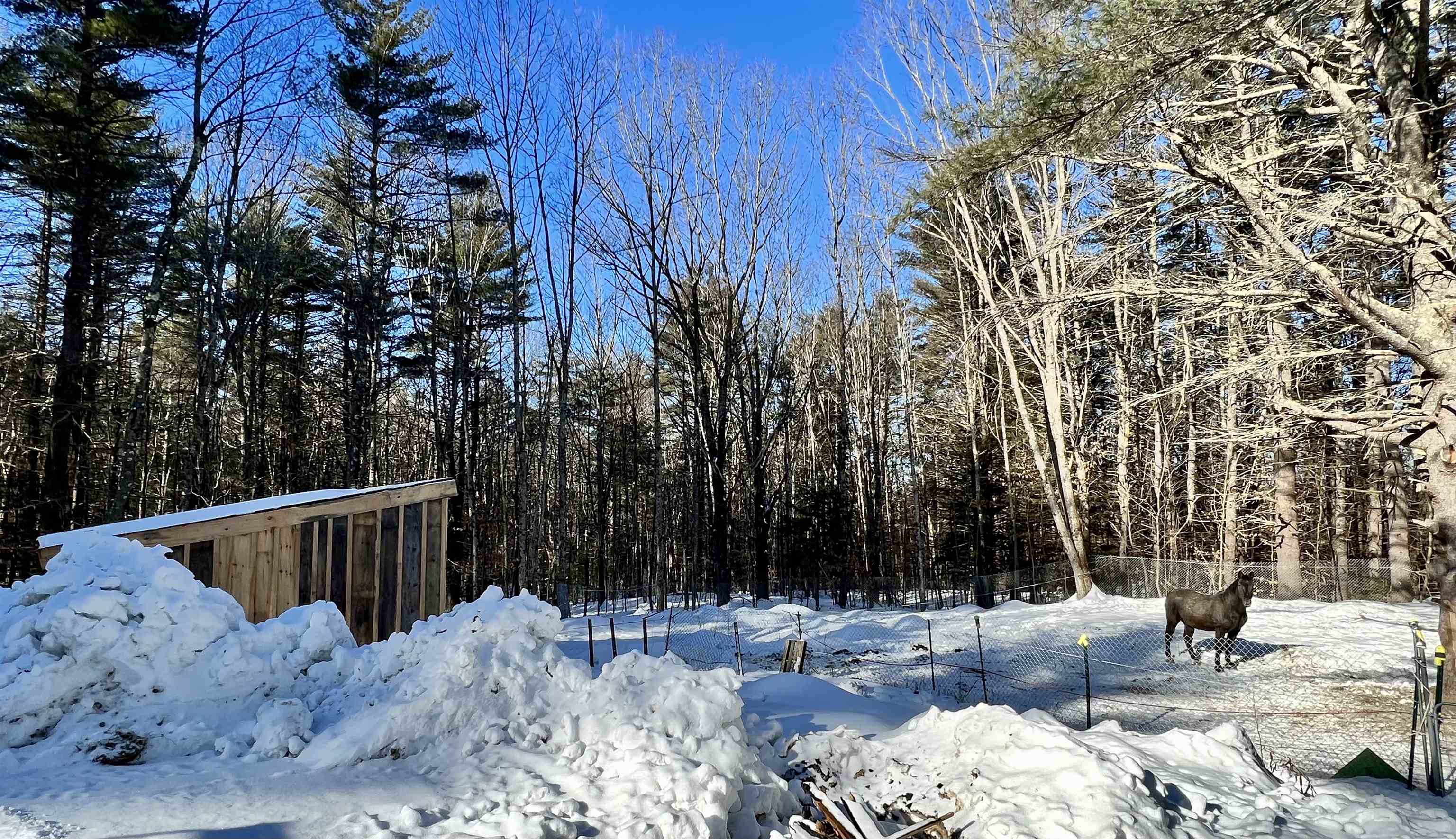 171 Chestnut Cove Road Alton, NH 03809 - Photo 5 of 27