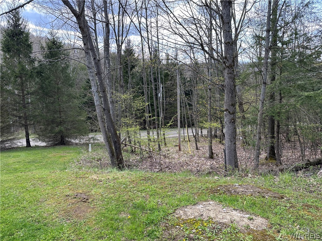 4098 Barker Run Road Great Valley, NY 14741 - Photo 23 of 25