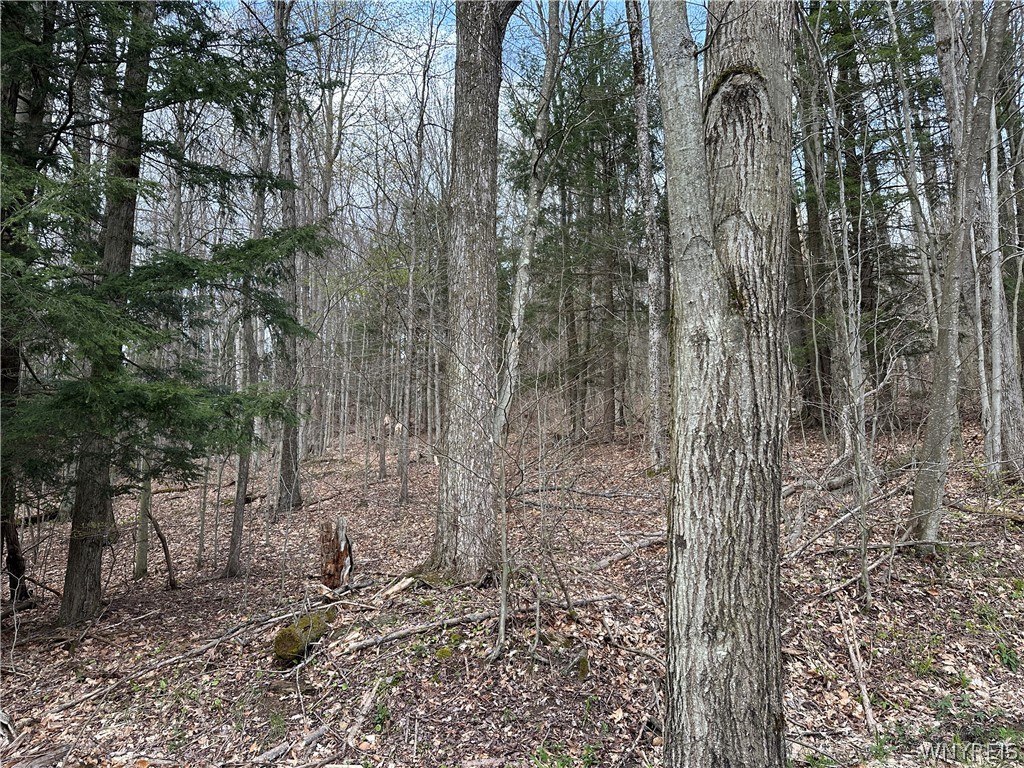 4098 Barker Run Road Great Valley, NY 14741 - Photo 24 of 25