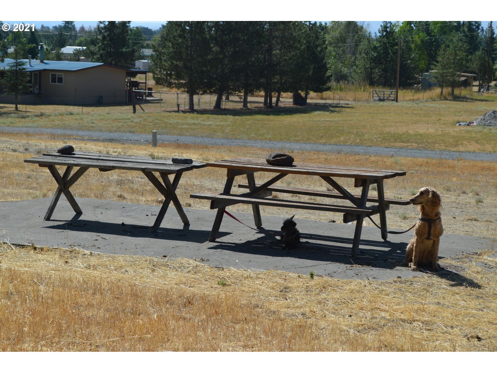 294 South Mary B Road Tygh Valley, OR 97063 - Photo 29 of 32 Gallery Image 29