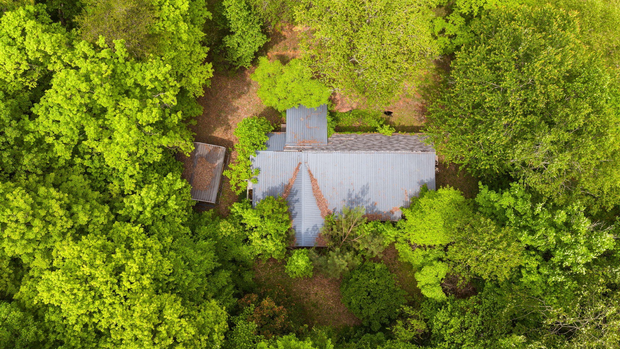 3414 No Pone Road Northwest Georgetown, TN 37336 - Photo 17 of 30 an aerial view of a house with a yard