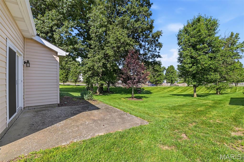 1419 Tahoe Valley Court Ballwin, MO 63021 - Photo 19 of 22