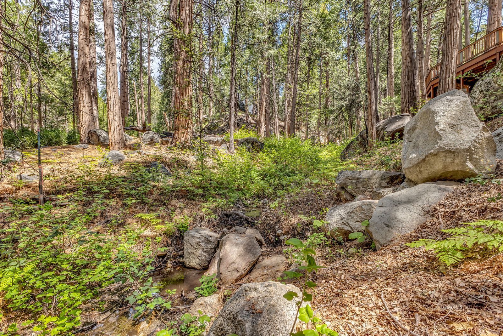 55170 Daryll Road Idyllwild, CA 92549 - Photo 19 of 28 Untitled