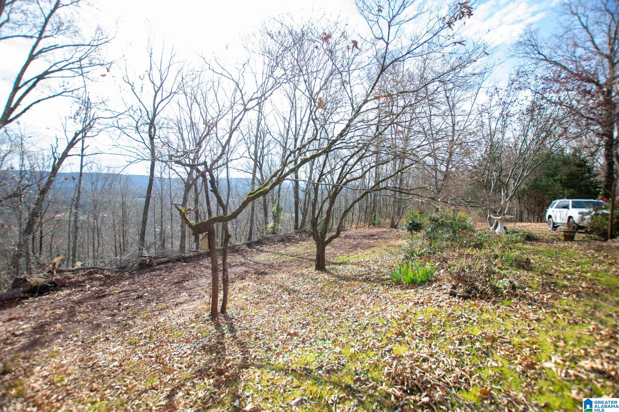 543 Young Road Remlap, AL 35133 - Photo 32 of 46