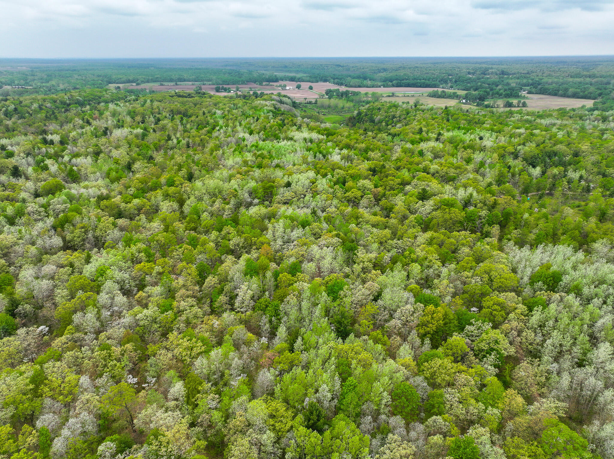 12.19 Rapp Drive Twin Lake, MI 49457 - Photo 4 of 48 DJI_20260512131627_0513_D