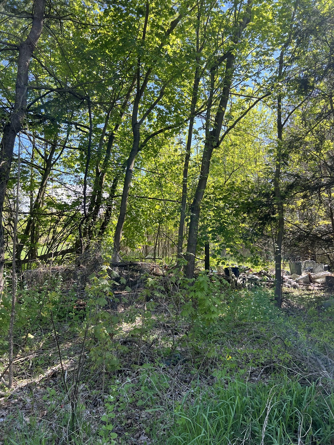 145 Bay Road Hadley, MA 01035 - Photo 1 of 3 Gallery Image 1