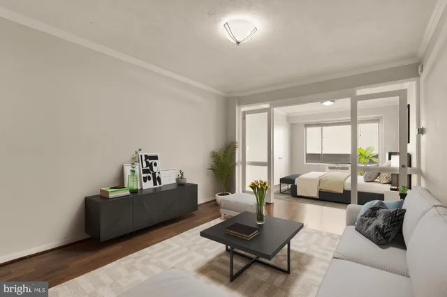 a living room with furniture and a potted plant