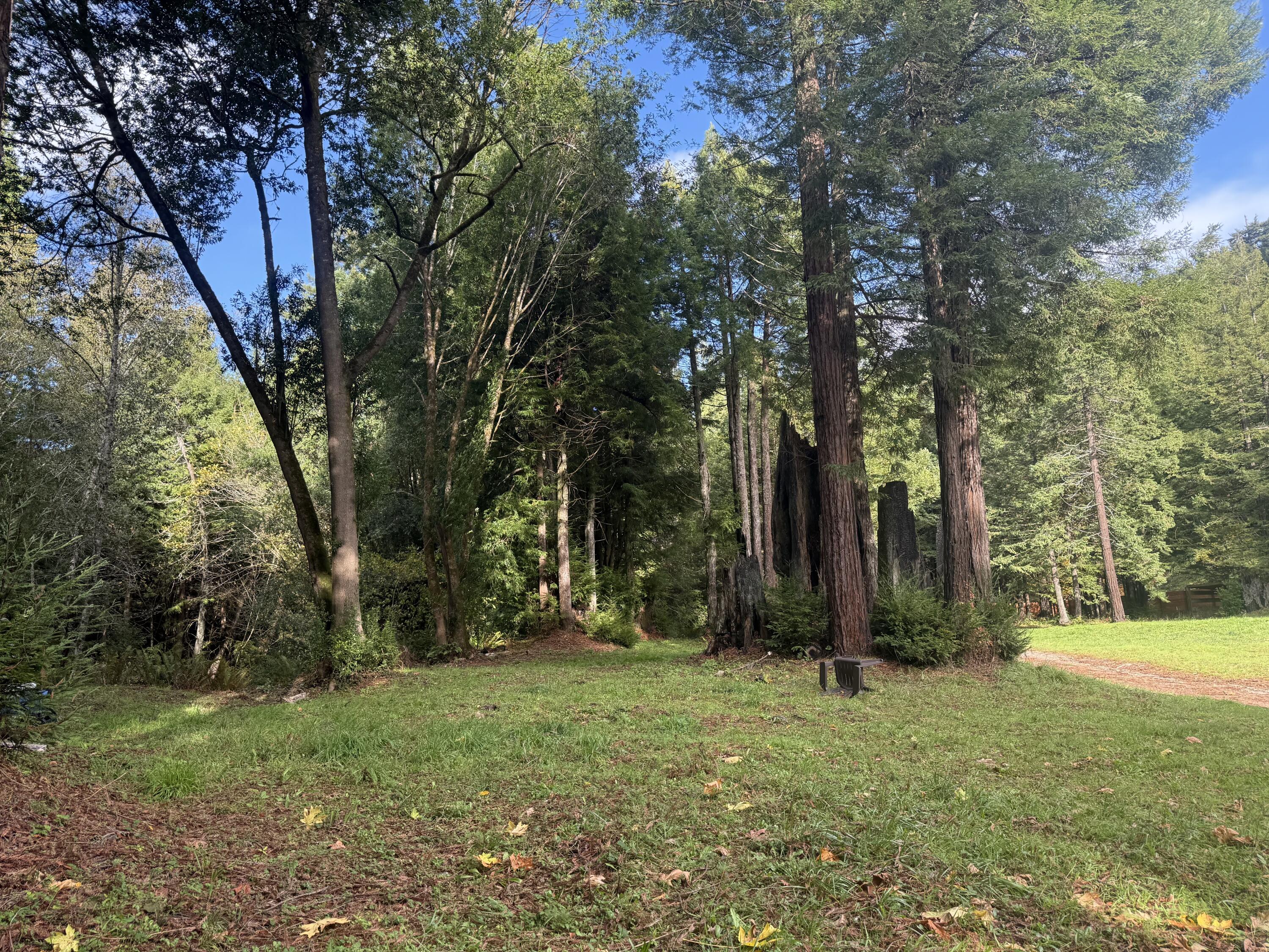 0 Wilder Road Carlotta, CA 95528 - Photo 10 of 12