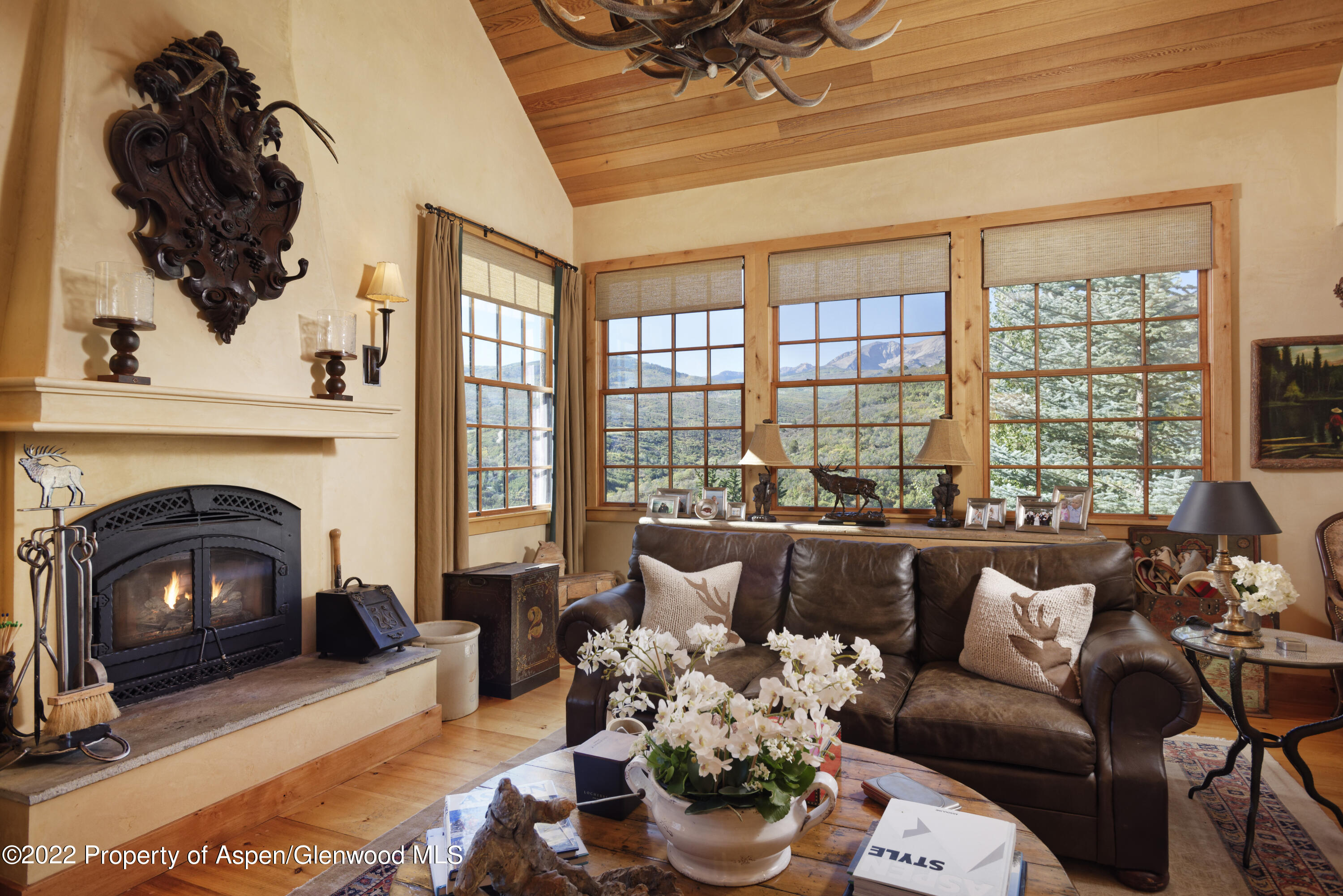 301 Stone Road Basalt, CO 81621 - Photo 6 of 45 a living room with furniture and a fireplace