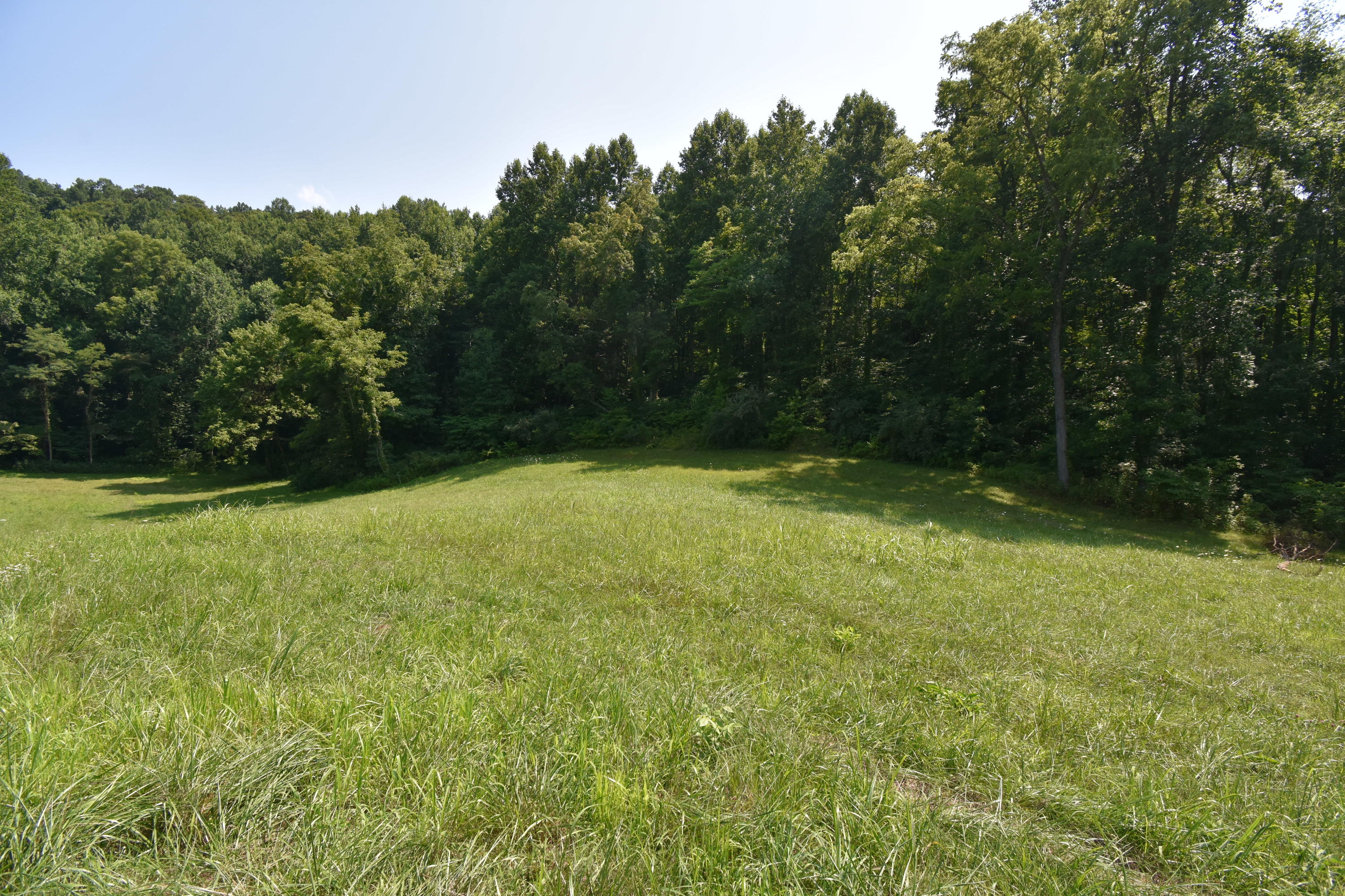 0 River Road Eidson, TN 37731 - Photo 1 of 17 DSC_2601