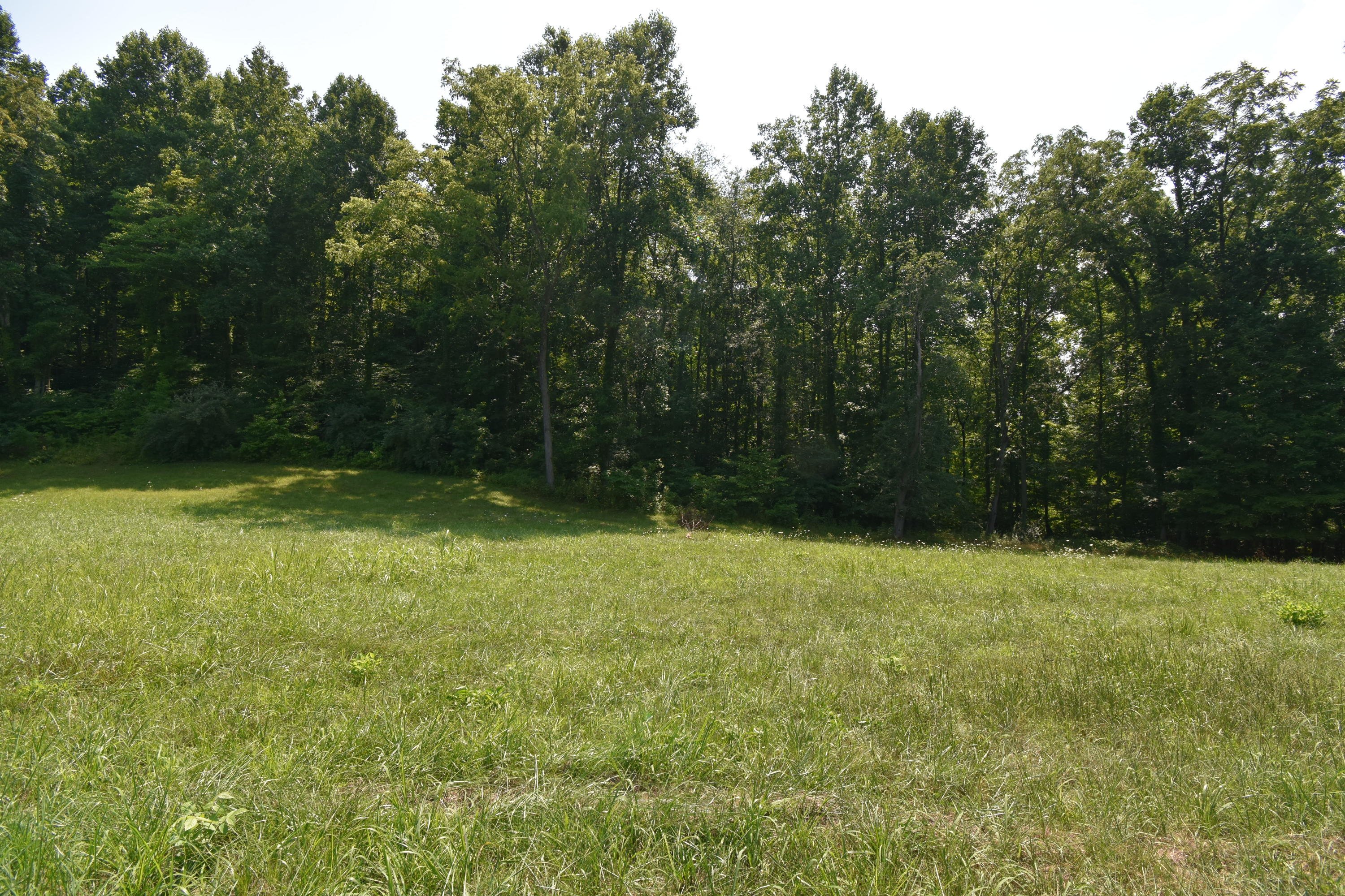 0 River Road Eidson, TN 37731 - Photo 2 of 17 DSC_2603