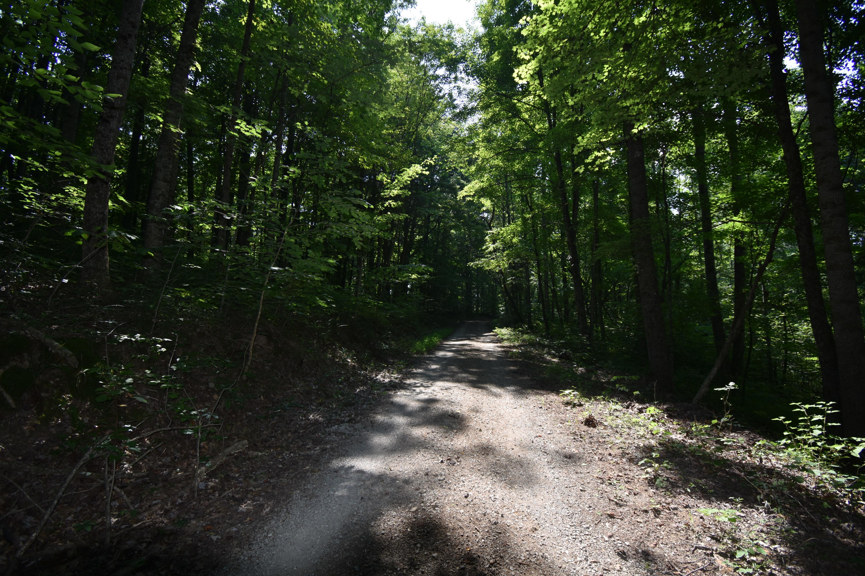 0 River Road Eidson, TN 37731 - Photo 12 of 17 DSC_2621