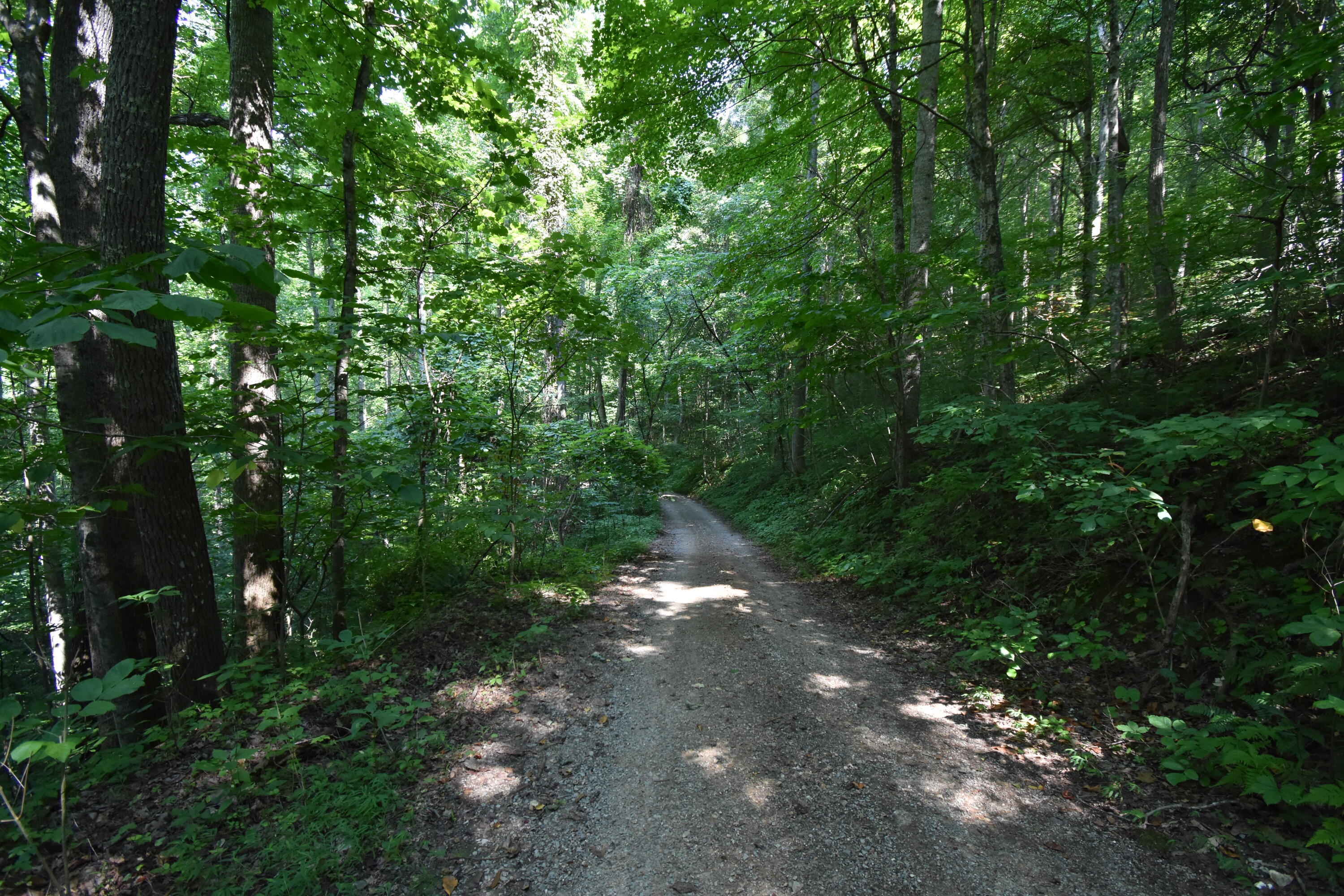 0 River Road Eidson, TN 37731 - Photo 14 of 17 DSC_2624