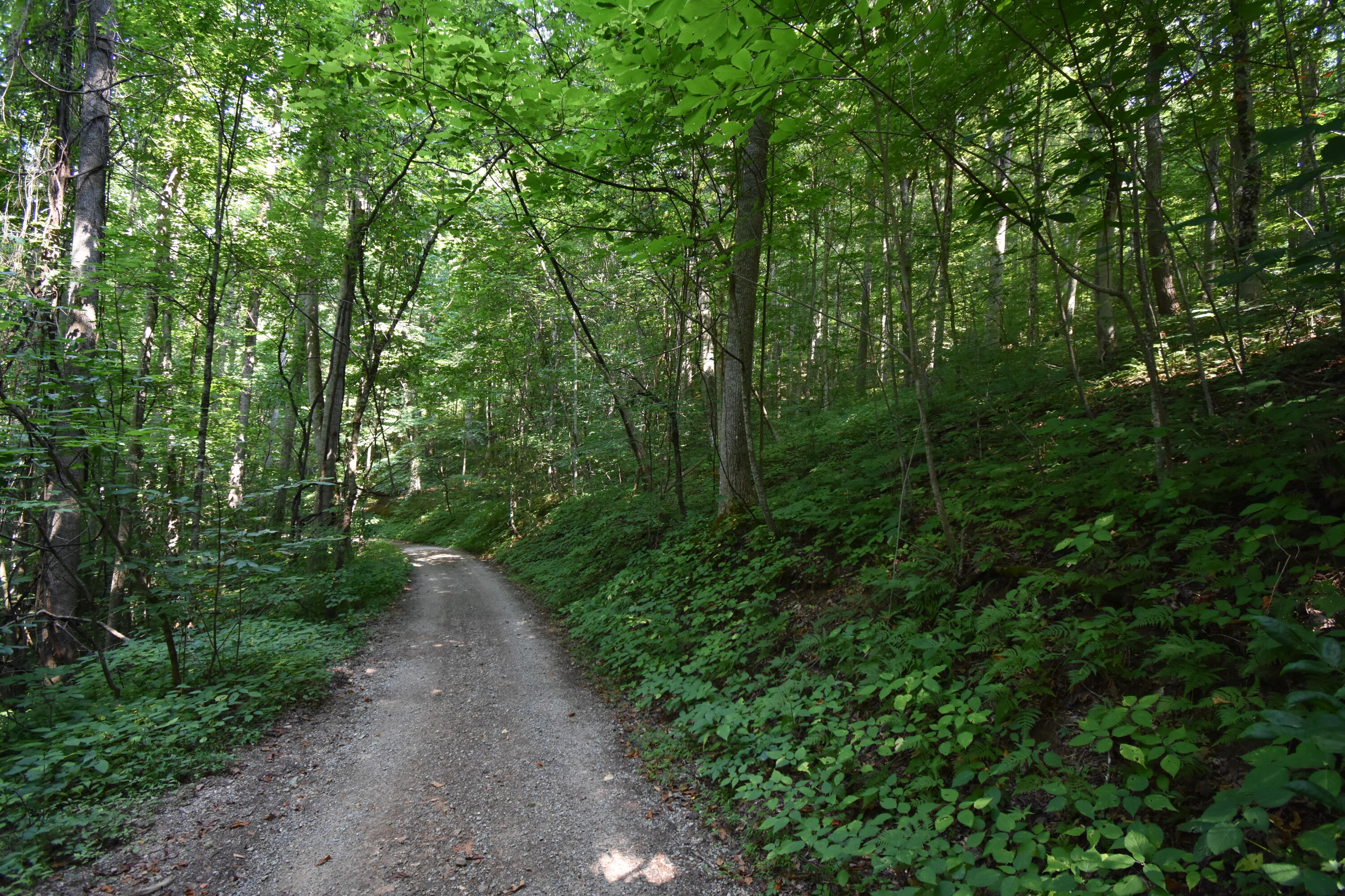 0 River Road Eidson, TN 37731 - Photo 15 of 17 DSC_2625