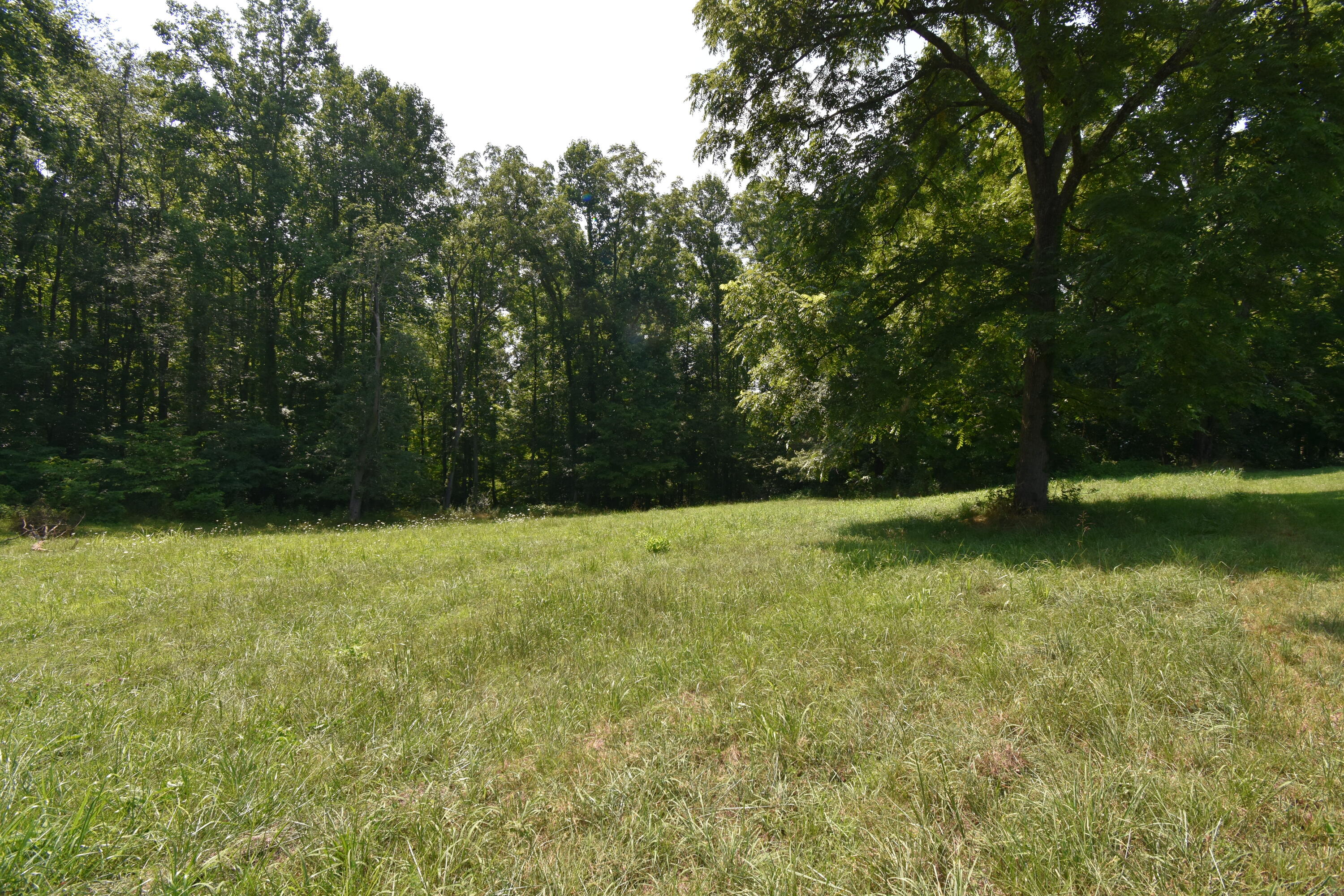 0 River Road Eidson, TN 37731 - Photo 3 of 17 DSC_2604