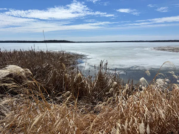 $280,000 | 18196 North Blackduck Lake Road Northeast, Hines, MN 56647