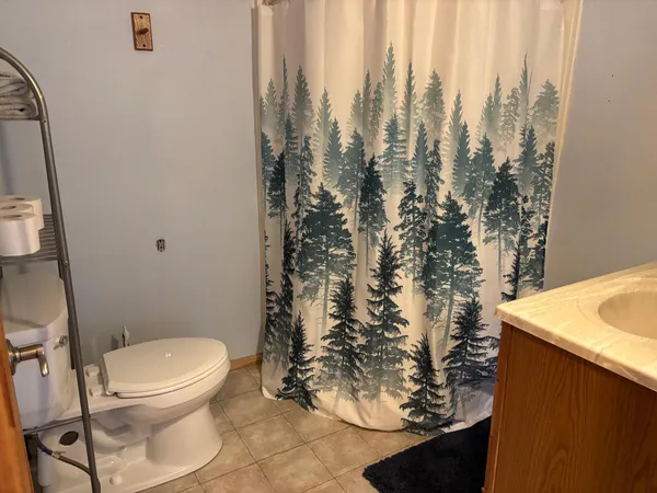 $280,000 | 18196 North Blackduck Lake Road Northeast, Hines, MN 56647