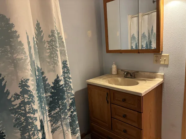 $280,000 | 18196 North Blackduck Lake Road Northeast, Hines, MN 56647