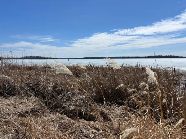 $280,000 | 18196 North Blackduck Lake Road Northeast, Hines, MN 56647