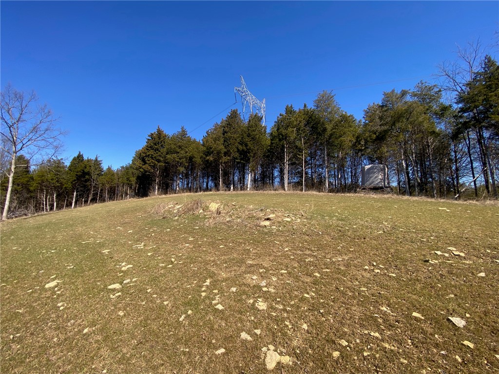 43 Old State Road Manchester, OH 45144 - Photo 5 of 11 Expansive green spaces offer tranquility and privacy, ideal for custom home building.