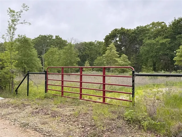 a view of sign board with tall trees