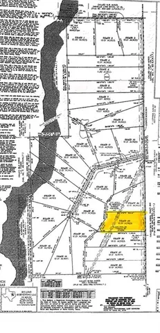 a view of a forest with a street