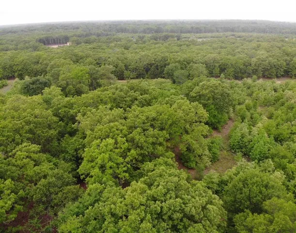 $145,000 | Lot 25 Rains County Road 2610, Alba, TX 75410