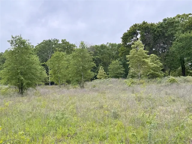 a view of a field of grass and trees