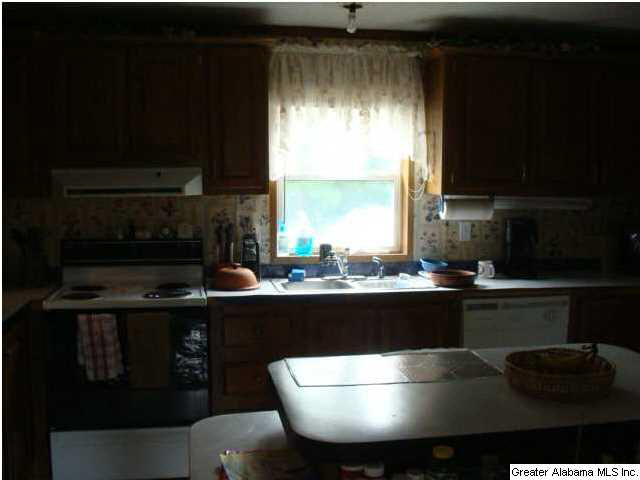 325 Big Springs Road Woodstock, AL 35188 - Photo 12 of 18