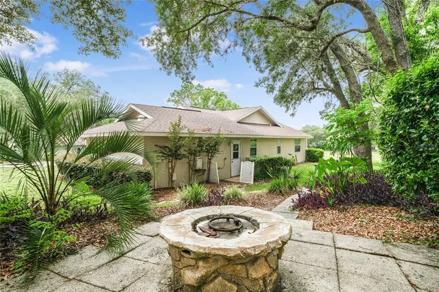 a view of a garden with a tree