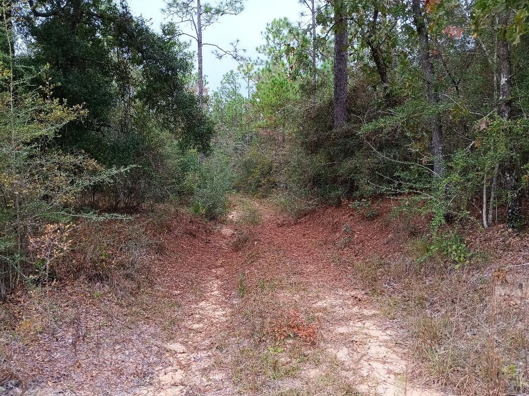 0 Sibley Creek Road Daphne, AL 36527 - Photo 8 of 10 View