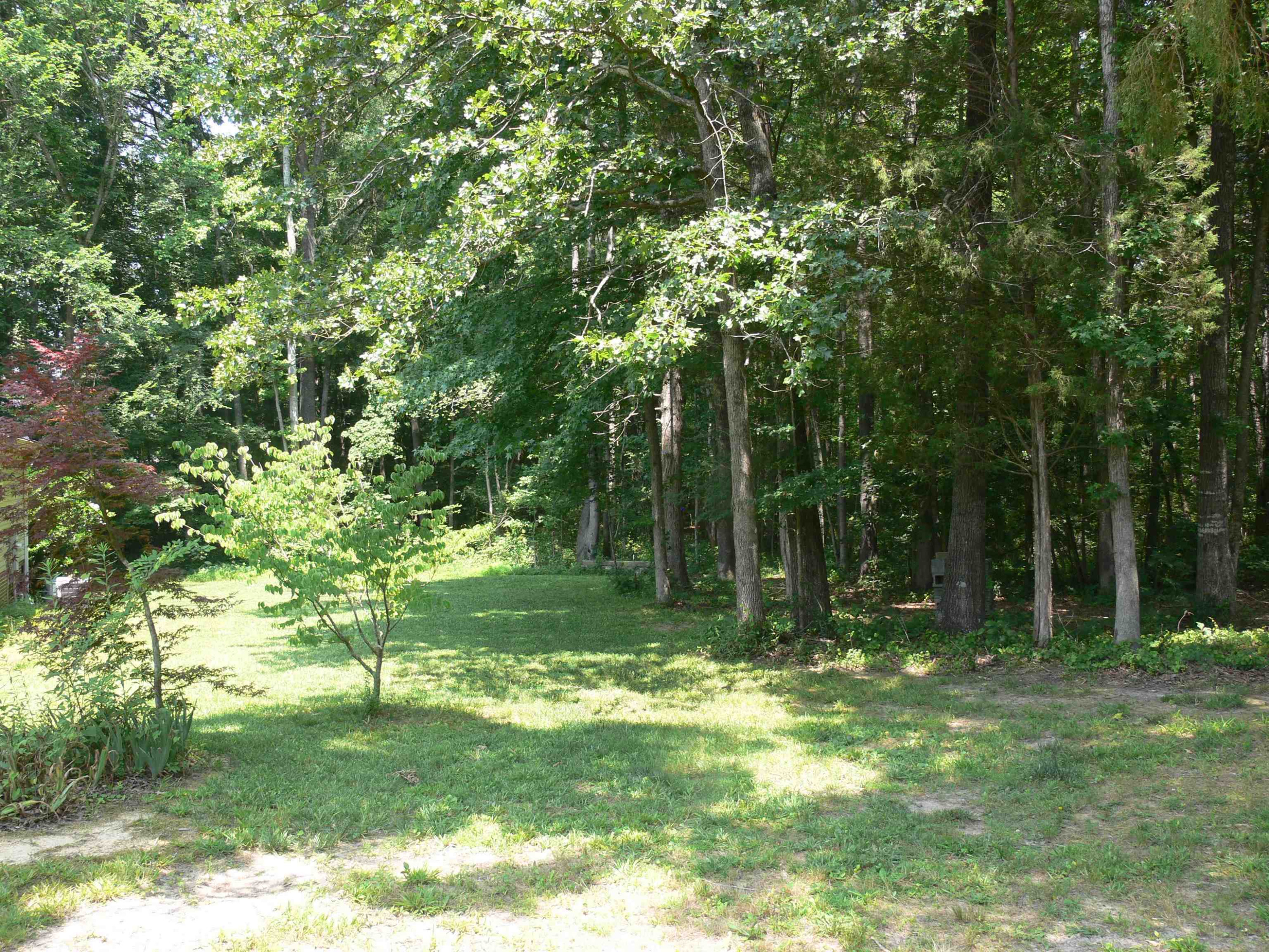 894 Dewitt Smith Road Pittsboro, NC 27312 - Photo 10 of 16 Photo 10