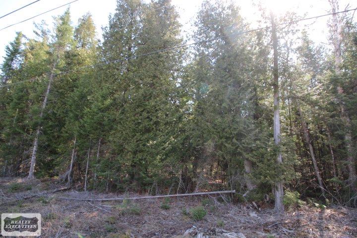 0 East Grand Lake Road Presque Isle, MI 49777 - Photo 4 of 6