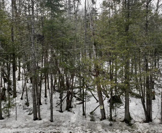 $30,000 | 0 Exeter Road, Garland, ME 04939