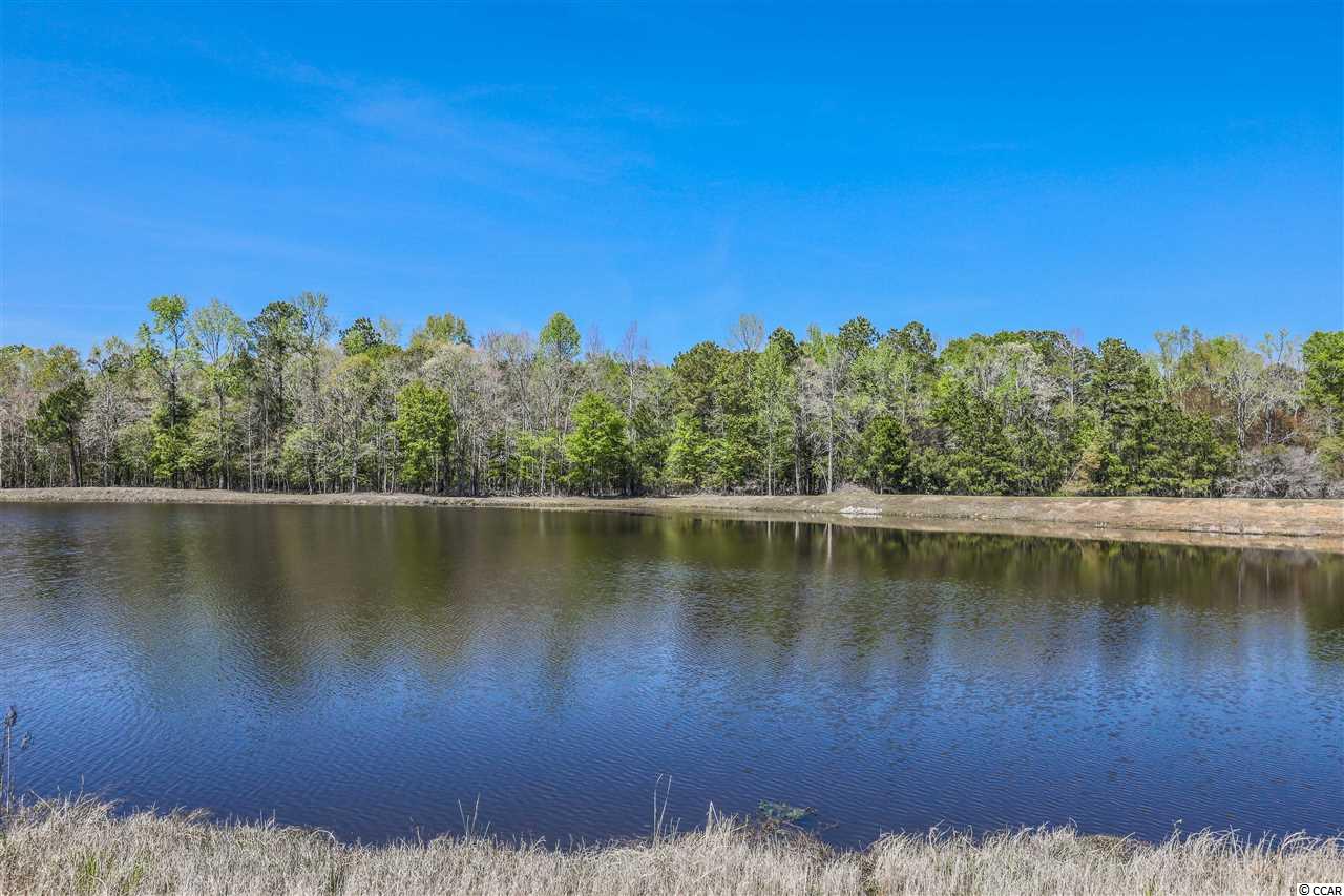 1229 Pine Ridge Street Conway, SC 29527 - Photo 2 of 28 Gallery Image 2