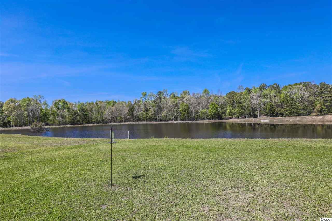 1229 Pine Ridge Street Conway, SC 29527 - Photo 3 of 28 Gallery Image 3