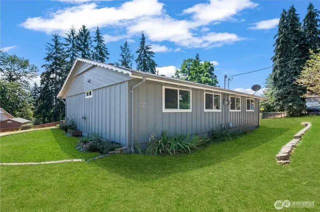 a view of a backyard with potted plants and large tree
