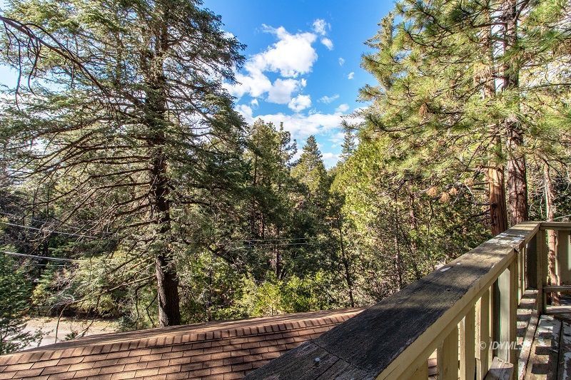 25390 Shadow Oaks Idyllwild, CA 92549 - Photo 34 of 39 a view of a tree in a yard and plants