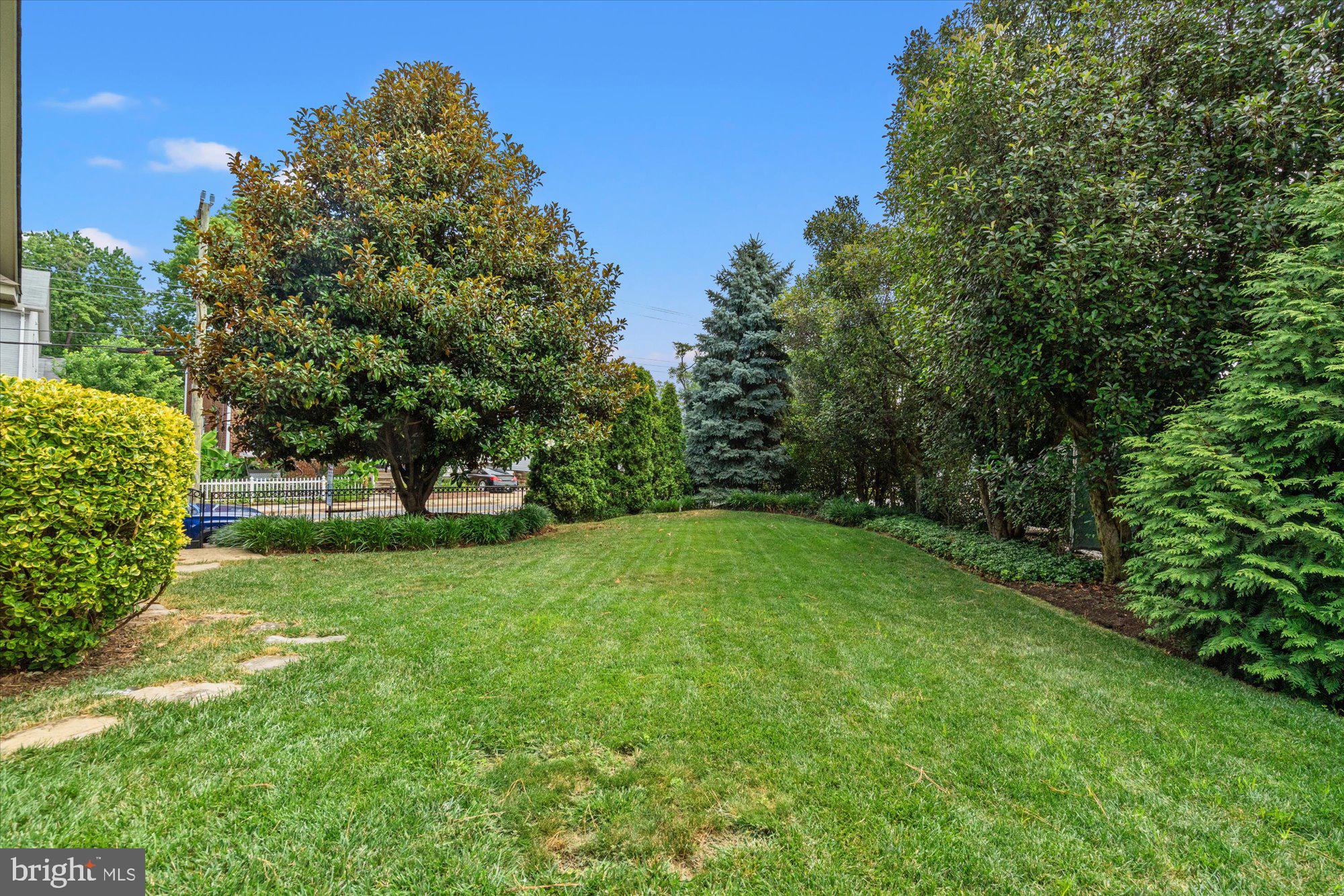 307 East Glebe Road Alexandria, VA 22305 - Photo 44 of 52 HUGE, private yard!