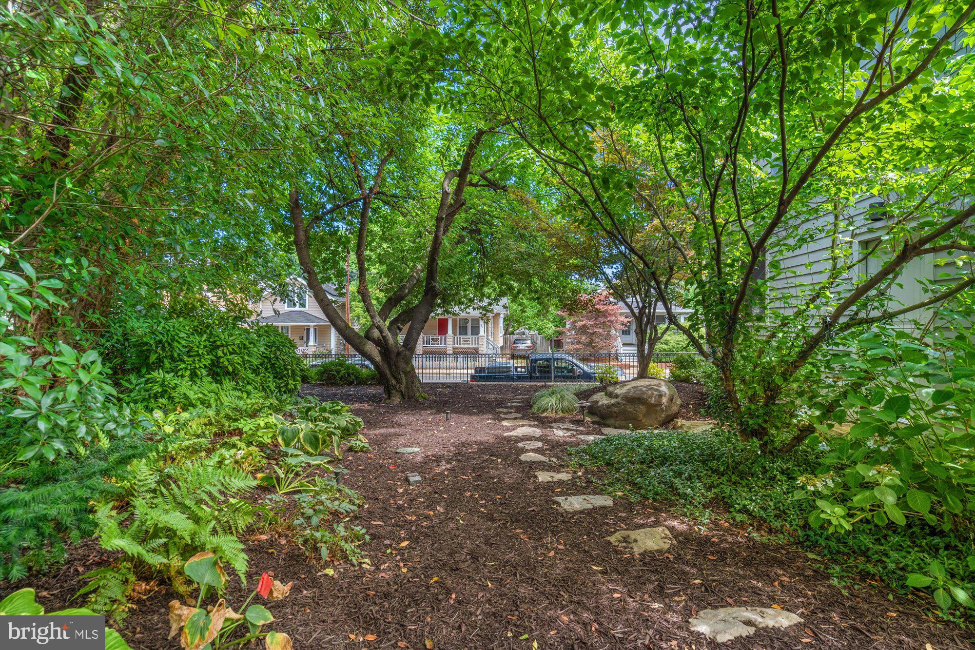 307 East Glebe Road Alexandria, VA 22305 - Photo 46 of 52 Private, landscaped garden with mature trees
