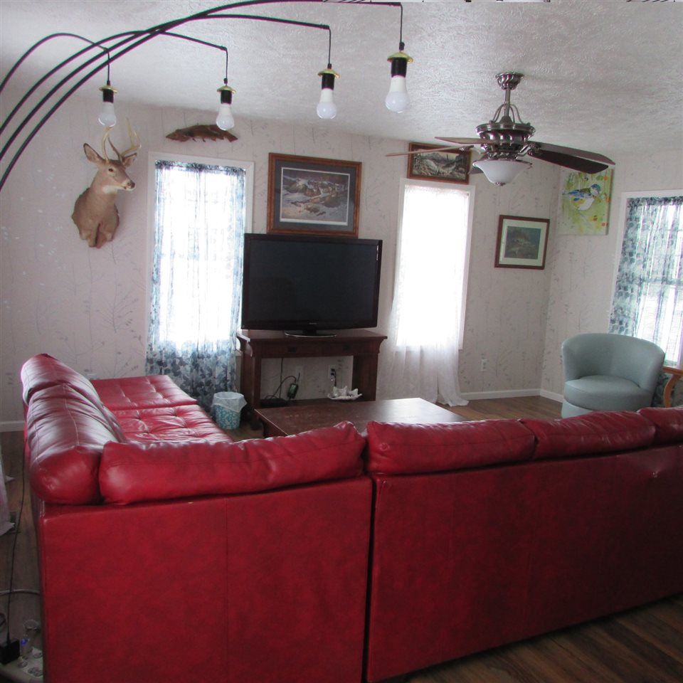 31341960-3.JPG