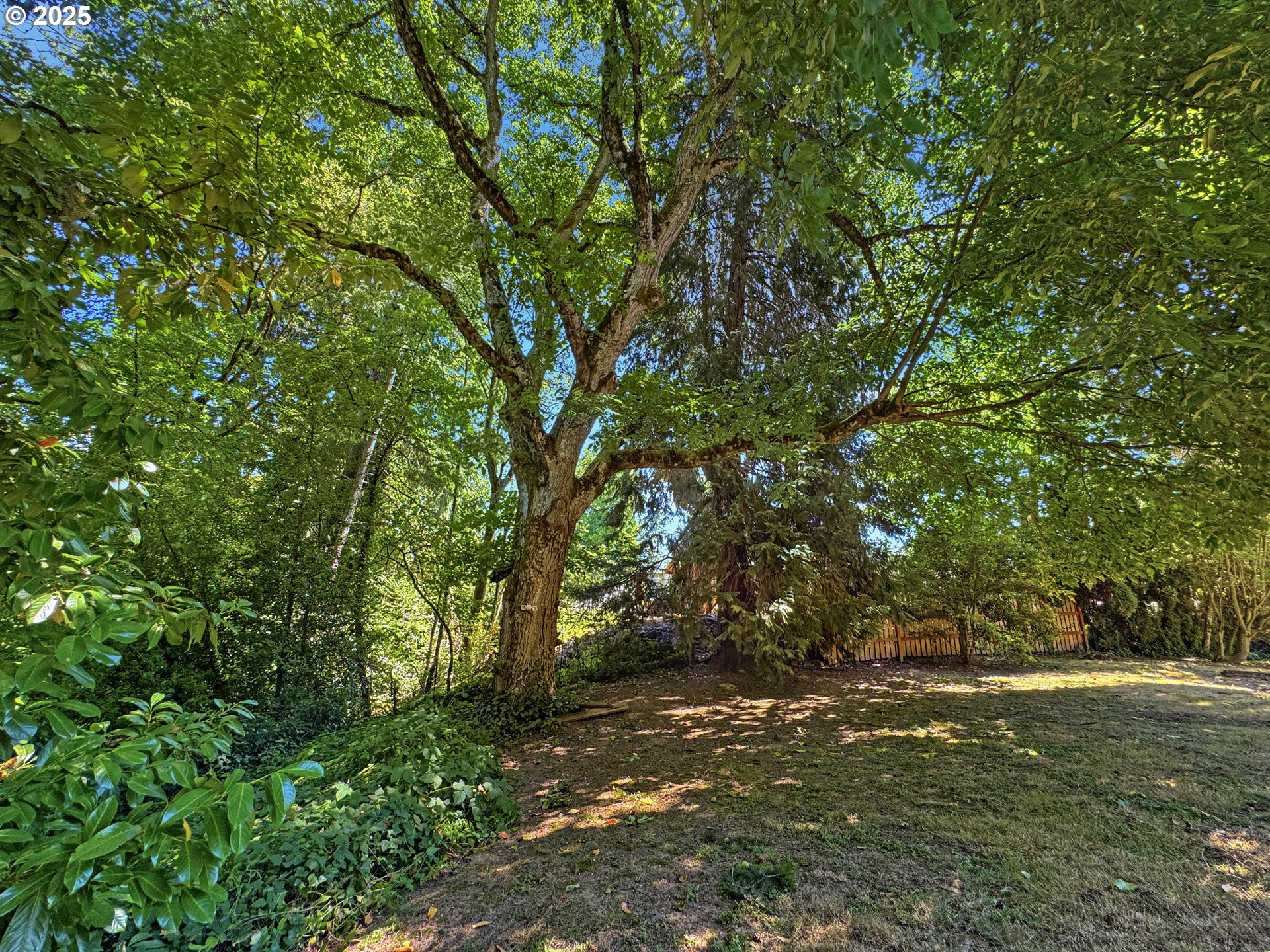 701 Northeast 117th Street Vancouver, WA 98685 - Photo 26 of 36