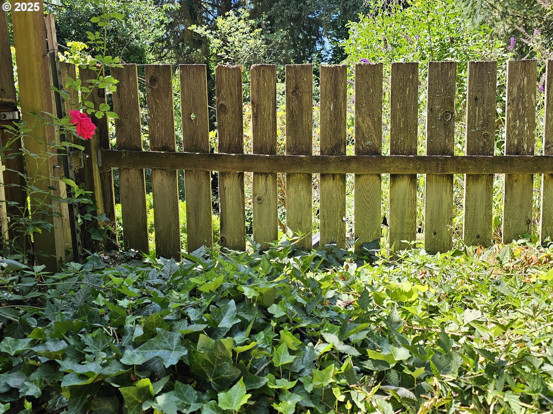 701 Northeast 117th Street Vancouver, WA 98685 - Photo 5 of 36