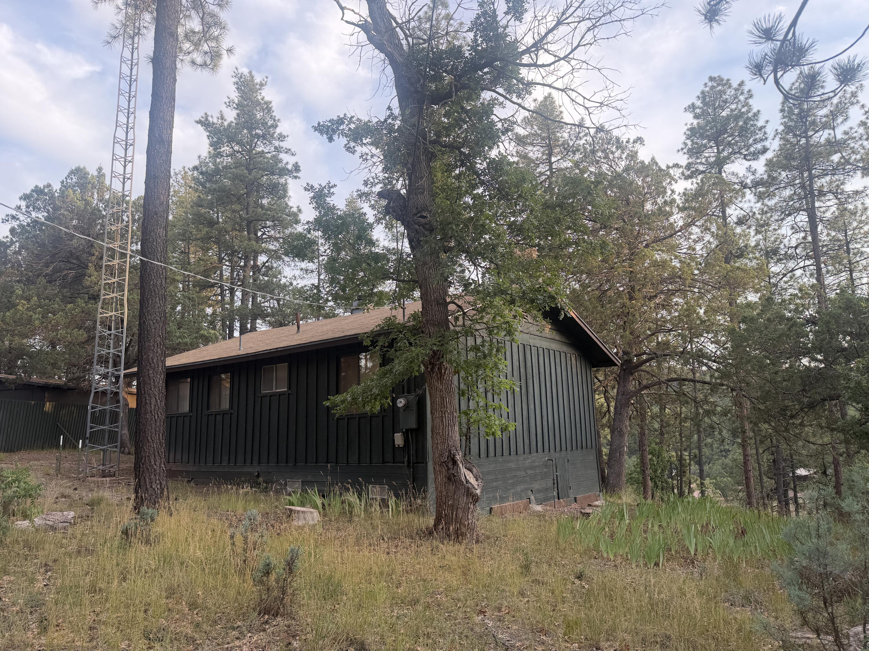 282 South Cienega Road Payson, AZ 85541 - Photo 3 of 8