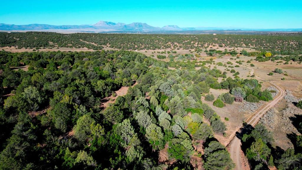 Tbd Bear Creek Road Walsenburg, CO 81089 - Photo 2 of 37